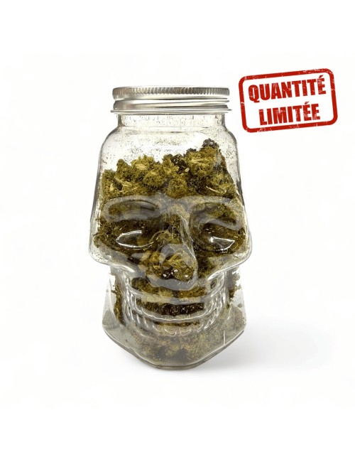 Fleurs CBD Small Bud Skull 25GR - Édition Limitée Halloween