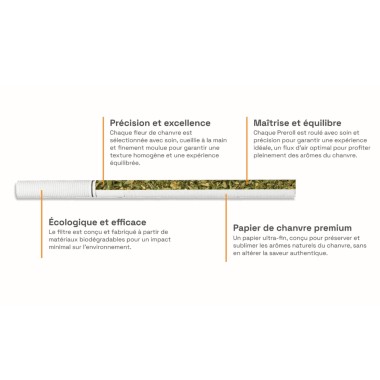 Cigarettes CBD Amnesia COAST