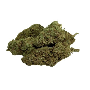 Fleur Tropical Haze 2.0 CBDX (CBD Xtrem)  NL-1 Indoor