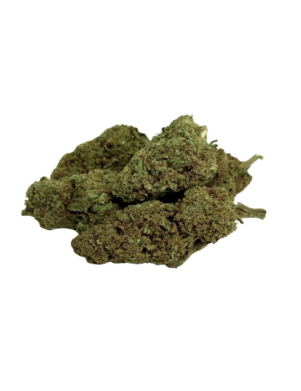 Fleur Tropical Haze 2.0 CBDX (CBD Xtrem)  NL-1 Indoor