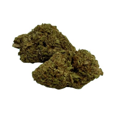 Fleur Tropical Haze 2.0 CBDX (CBD Xtrem)  NL-1 Indoor