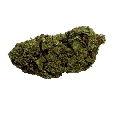 Fleur Tropical Haze 2.0 CBDX (CBD Xtrem)  NL-1 Indoor