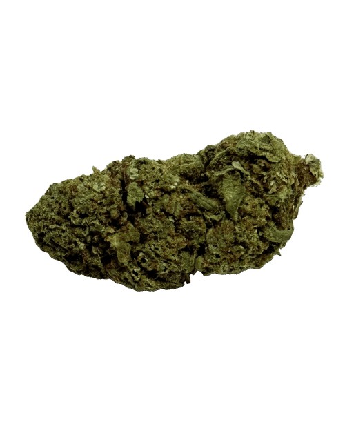 Fleur Tropical Haze 2.0 CBDX (CBD Xtrem)  NL-1 Indoor