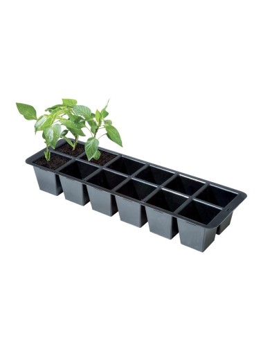 Premium-Einsätze 12 Zellen (2er-Pack)