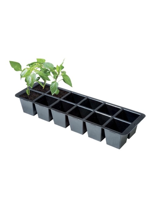 Premium-Einsätze 12 Zellen (2er-Pack)