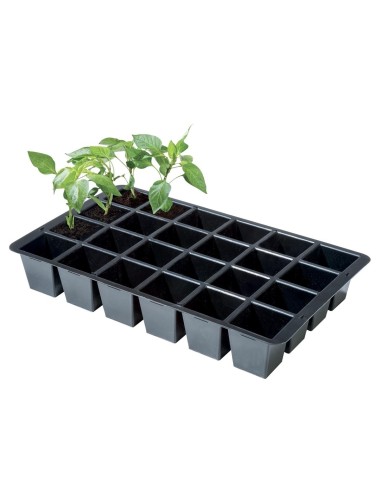 Premium-Einsätze 24 Zellen (2er-Pack)