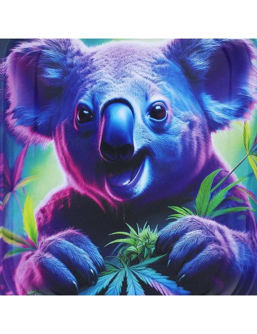Plateau de roulage Beuz Crazy Koala