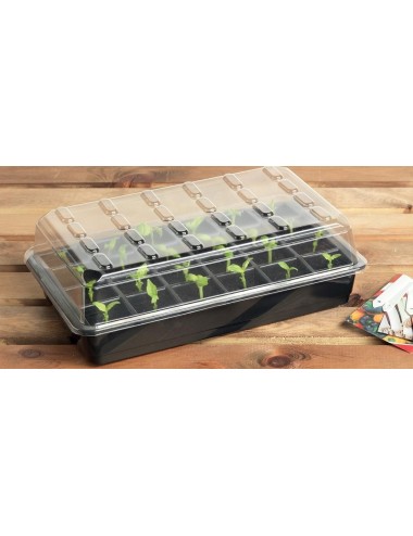 Saatgut-Starter-Set 24 Zellen