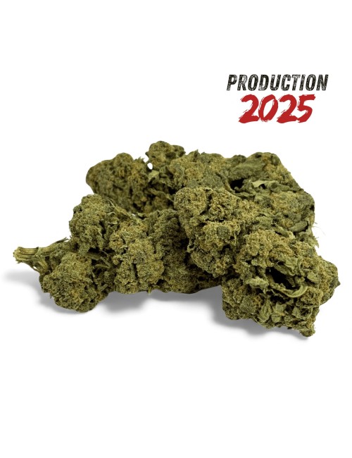 Fleur de CBD Candy Kush Greenhouse