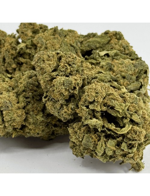 Fleur de CBD Candy Kush Greenhouse