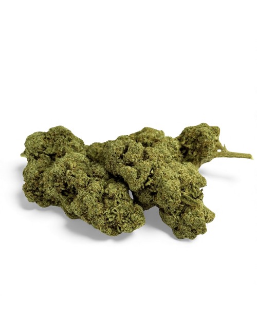 Fleur de CBD Grape Gas Greenhouse