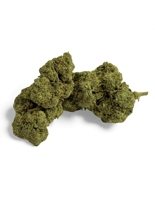 Fleur de CBD Grape Gas Greenhouse