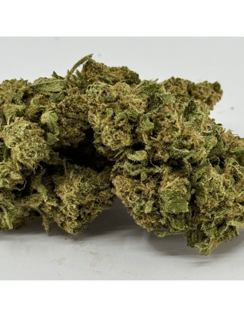 Fleur de CBD Super White Frost Greenhouse