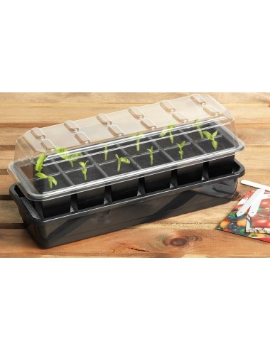 Automatisches 12-Zellen-Bewässerungs-Saatgut-Set