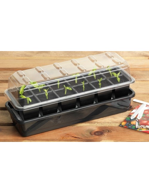 Automatisches 12-Zellen-Bewässerungs-Saatgut-Kit + 12 Pellets