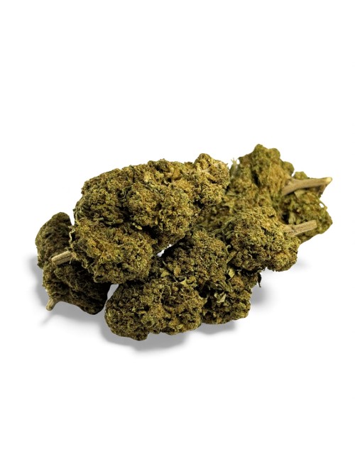 Fleur de CBD Black Mamba Greenhouse