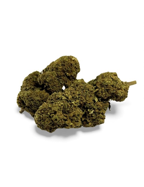 Fleur de CBD Black Mamba Greenhouse