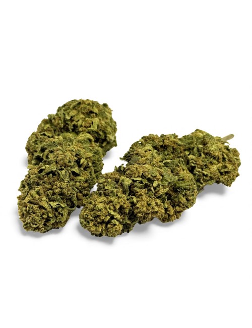 Fleur de CBD Banana Smash Greenhouse