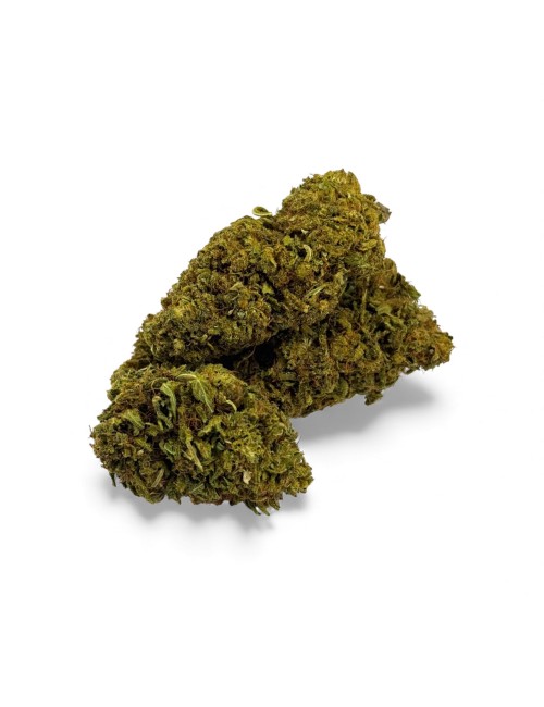 Fleur de CBD Sour Lime Haze Greenhouse