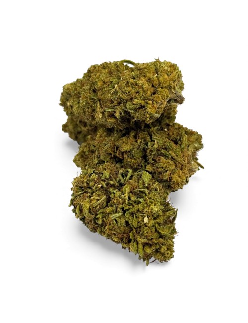 Fleur de CBD Sour Lime Haze Greenhouse