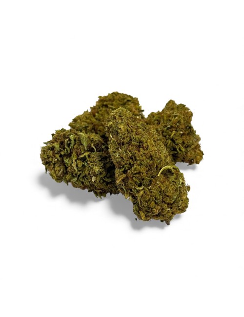 Fleur de CBD Sour Lime Haze Greenhouse