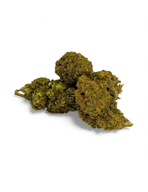 Fleur de CBD Chem Crush Greenhouse