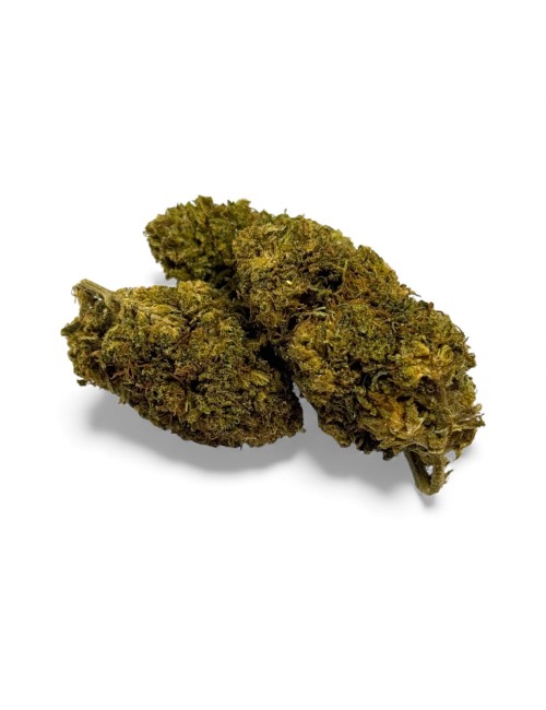 Fleur de CBD Chem Crush Greenhouse