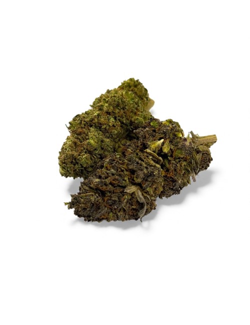 Fleur de CBD Mandarine Haze Greenhouse