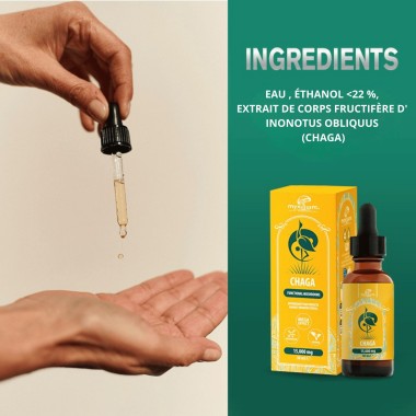 Extrait de Champignon Chaga MYXILLUIM – 30 ml | PLANT OF LIFE