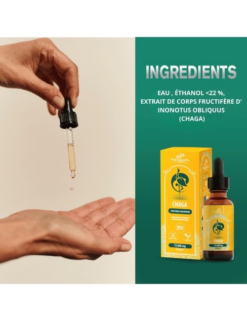 Extrait de Champignon Chaga MYXILLUIM – 30 ml | PLANT OF LIFE