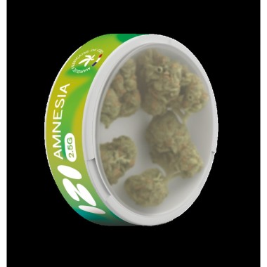 Fleur de CBD Amnesia 2.5g - IZI