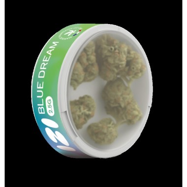 Fleur de CBD Blue Dream 2.5g - IZI