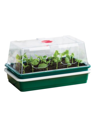 Elektrischer Oberflächenpropagator