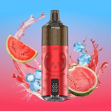 Puff Panda 25500 New Watermelon Ice 850mAh 22ml - JNR