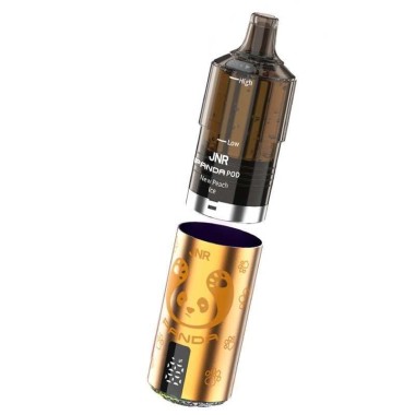 Puff Panda 25500 New Watermelon Ice 850mAh 22ml - JNR