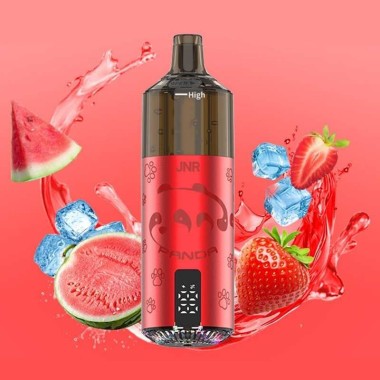 Puff Panda 25500 Strawberry Watermelon Ice 850mAh 22ml - JNR