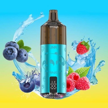 Puff Panda 25500 Blueberry Sour Raspberry 850mAh 22ml - JNR