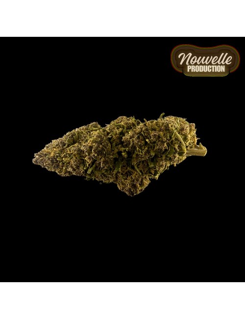 Fleur CBD Saphire Hybride Indoor