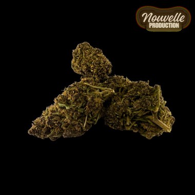 Fleur CBD Saphire Hybride Indoor