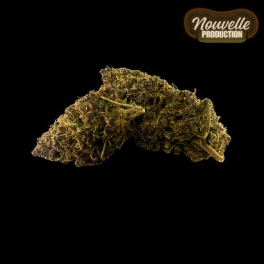 Fleur CBD Saphire Hybride Indoor