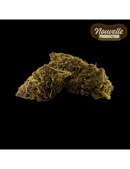 Fleur CBD Saphire Hybride Indoor