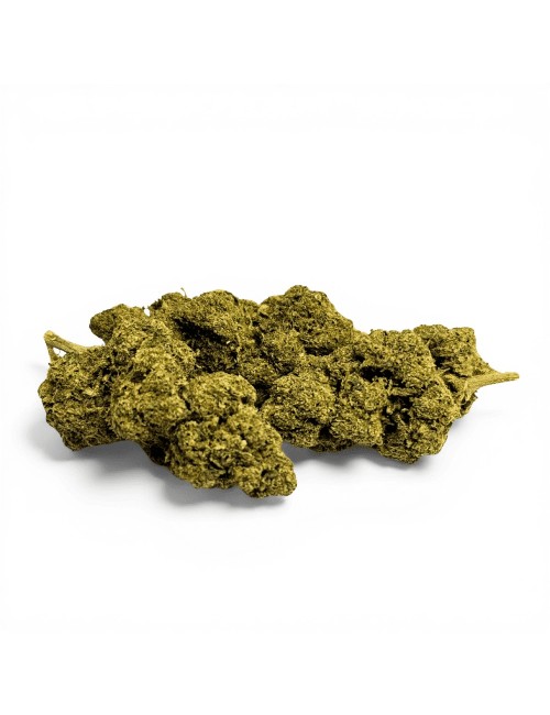 Fleur de CBD Sweet Cheese Indoor