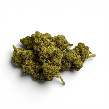 Fleur de CBD Sweet Cheese Indoor