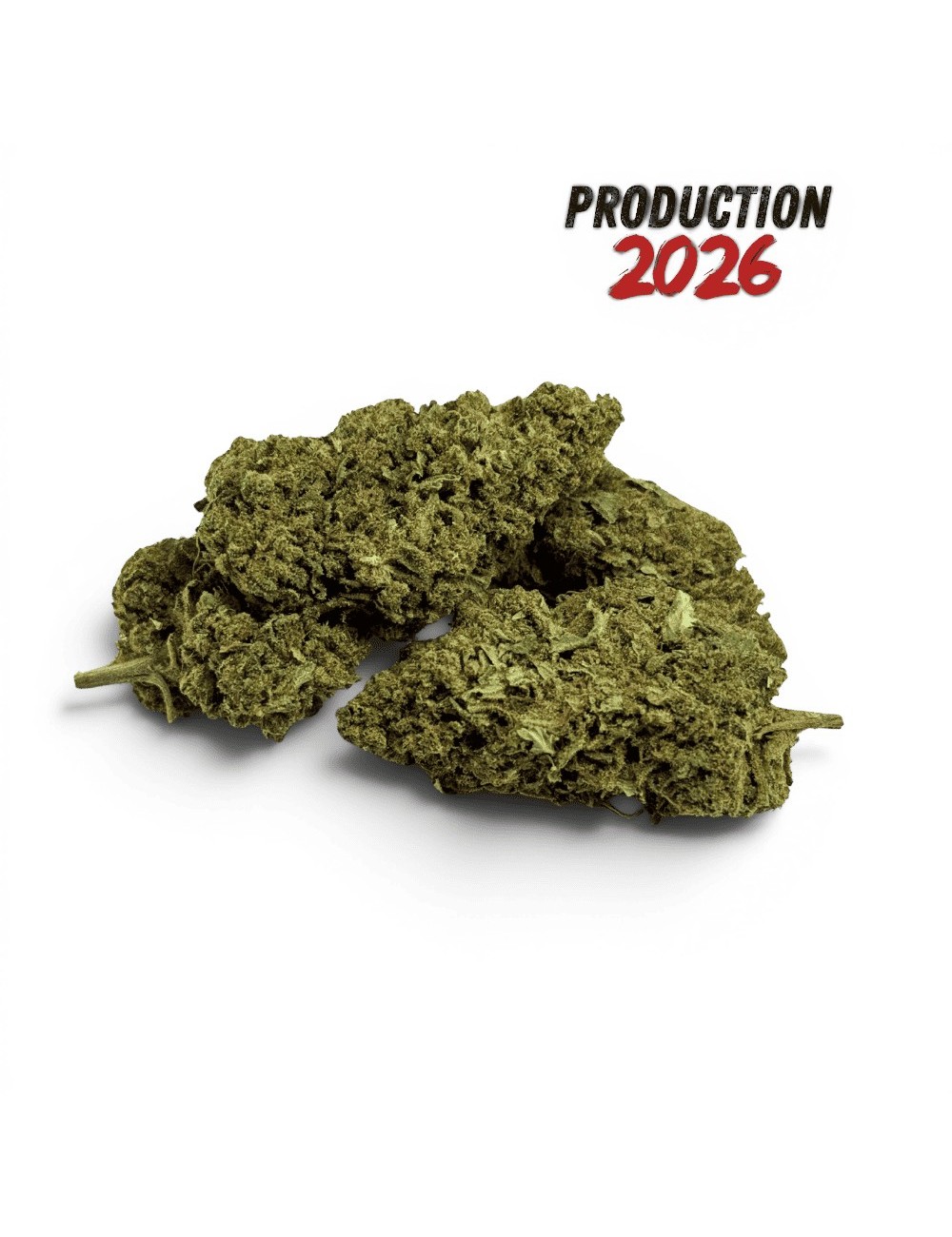 Fleur de CBD Super Silver Haze Indoor