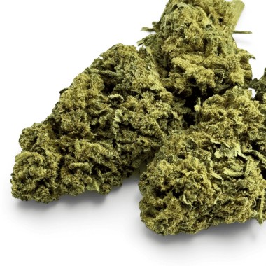 Fleur de CBD Super Silver Haze Indoor