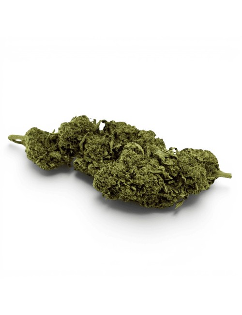 Fleur de CBD Super Skunk Indoor