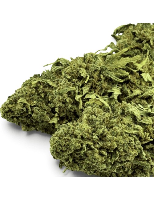 Fleur de CBD Super Skunk Indoor