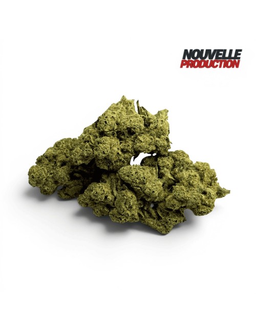 Fleur de CBD Jack Herer Indoor