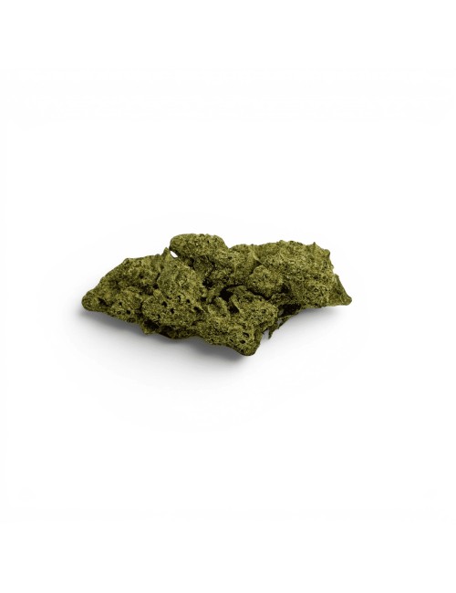 Fleur de CBD Jack Herer Indoor