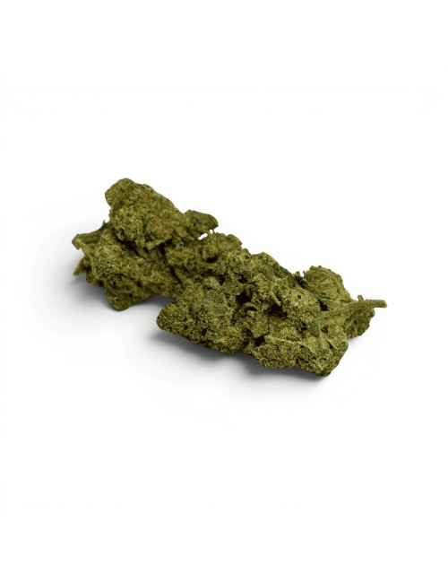 Fleur de CBD Jack Herer Indoor